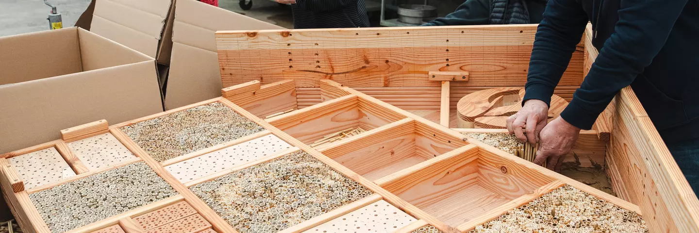 Schwabe-Mitarbeitende füllen ein Insektenhotel mit Niströhren.