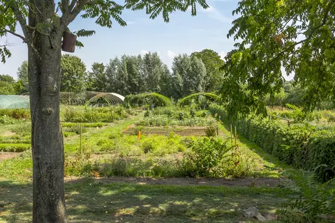 Blick über die Beete zu den Schattenhäusern der Terra Medica