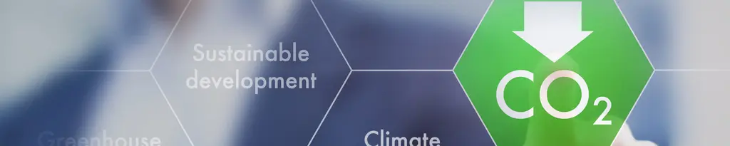 Carbon footprint