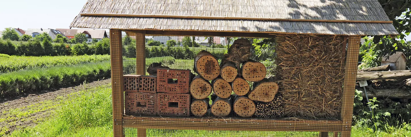 Ein Insektenhotel bietet Insekten Nistmöglichkeiten und Unterschlupf