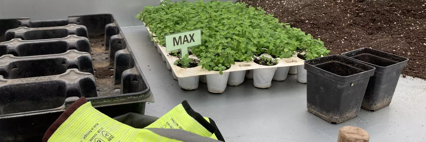 Das Namensschild zeigt, wessen Aufgabenbereich zu sehen ist.