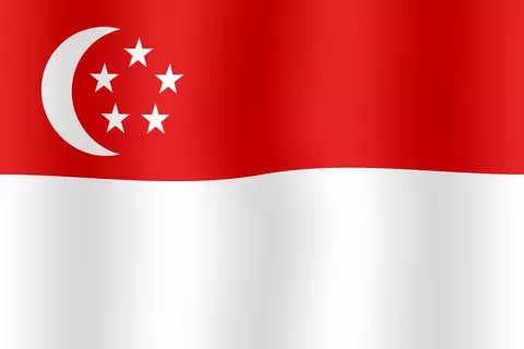Flag_Singapore
