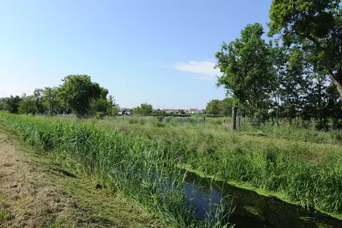 Panorama der Arzneipflanzenkulturen Terra Medica