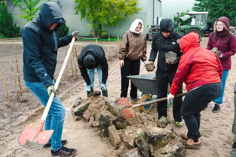 Die Azubis der Schwabe-Gruppe legen ein Sandarium für Wildbienen an.