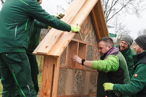 Mitarbeiter der Terra Medica stellen die Bienennisthilfe auf.