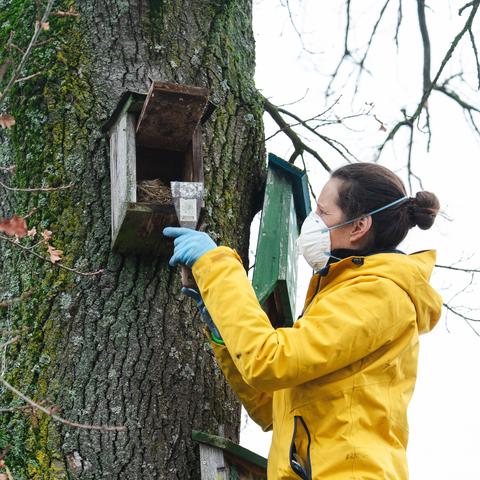 Eine Mitarbeiterin putzt einen Nistkasten auf der Terra Medica aus.