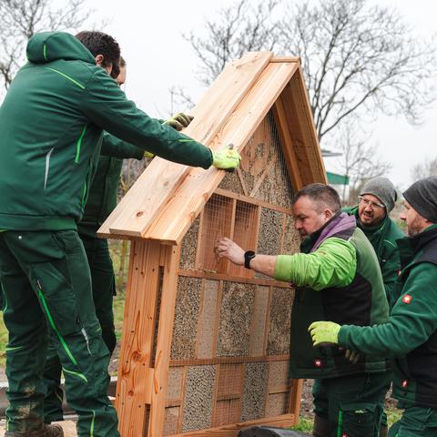Mitarbeiter der Terra Medica stellen die Bienennisthilfe auf.