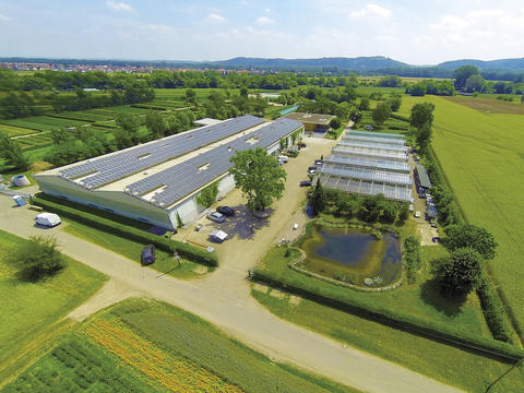Blick auf die Arzneipflanzenkulturen der Terra Medica in Staffort nahe Karlsruhe.
