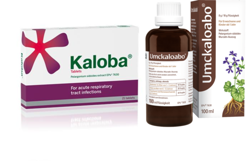 Eine Packung von Kaloba neben einer Packung von Umckaloabo.