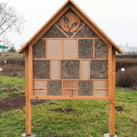 Auf der Terra Medica finden Wildbienen nun neben einem vielfältigen Nahrungsangebot auch zahlreiche Nistmöglichkeiten.